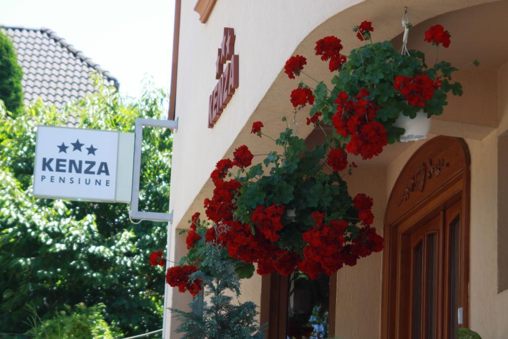 Pensiunea Kenza Târgu-Mureş Εξωτερικό φωτογραφία